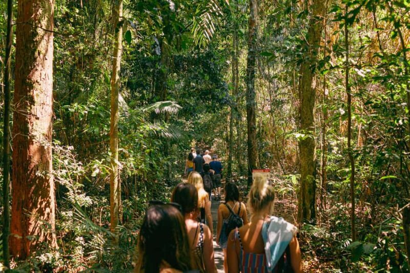 From Cairns: Waterfall Tour with Lunch - Summary