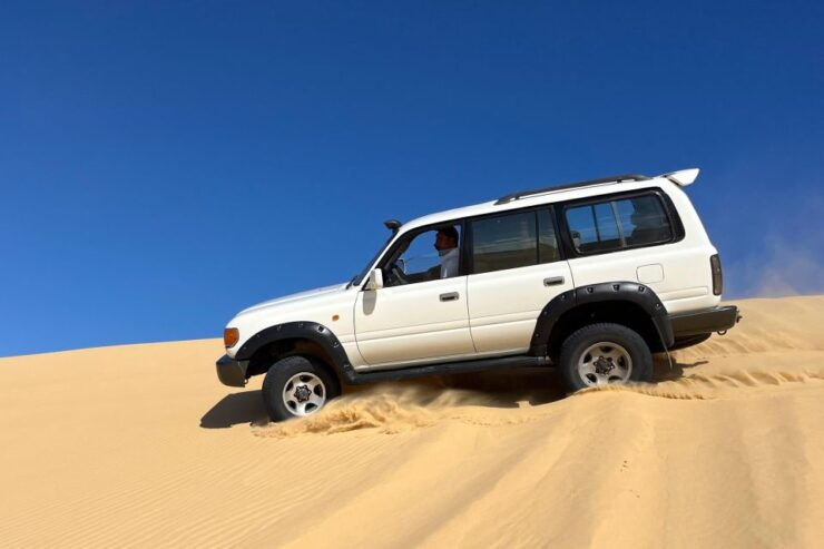 From Cairo: 4x4 Desert Safari, Sandsurf, and Camel Ride - Activity Details