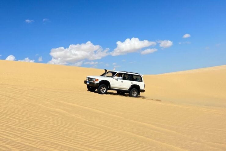 From Cairo: 4x4 Desert Safari, Sandsurf, and Camel Ride - Experience Highlights