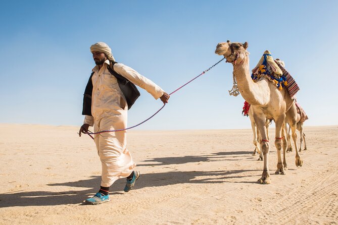From Cairo: Desert Safari, Waterfalls, Sand Boarding and Camel Ride With Lunch - Cancellation Policy