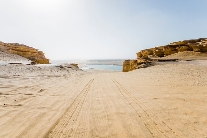 From Cairo: Desert Safari, Waterfalls, Sand Boarding and Camel Ride With Lunch - Traveler Photos and Reviews