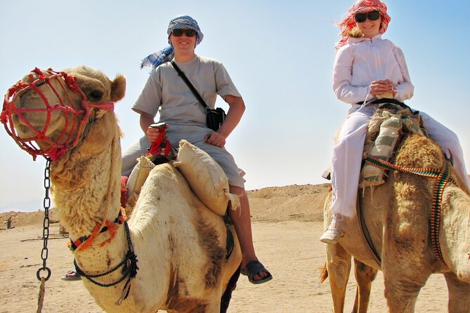 From Cairo: Desert Safari, Waterfalls, Sand Boarding and Camel Ride With Lunch - Tour Guides and Drivers