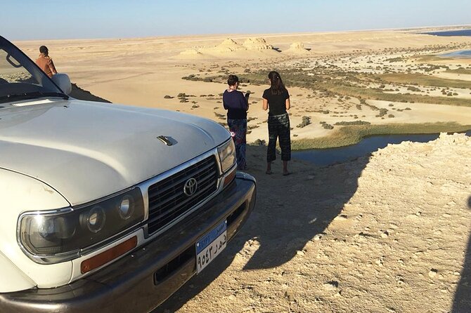 From Cairo - EL-Fayoum Full Day Tour Bird Watching - Good To Know