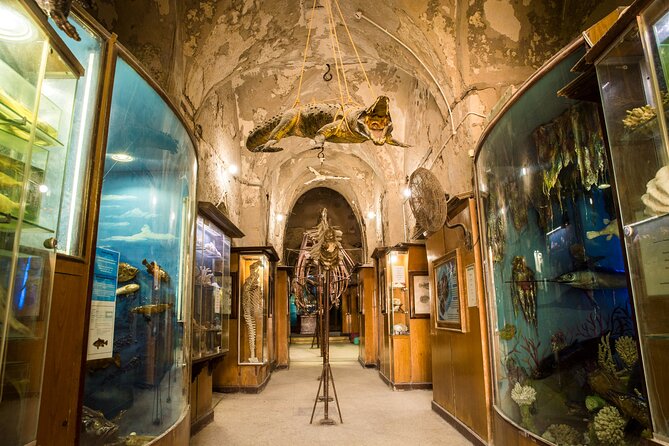 From Cairo: Full-Day Tour of Historical Alexandria - Pricing and Booking