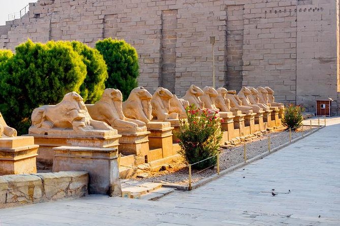 From Cairo: Luxor East & West Bank Tour - Tour Highlights