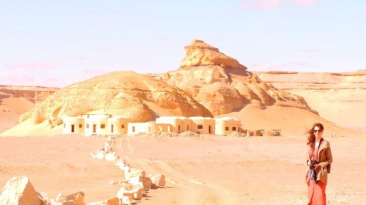 From Cairo : Overnight Camping Adventure in El-Fayoum Oasis - Activity Details