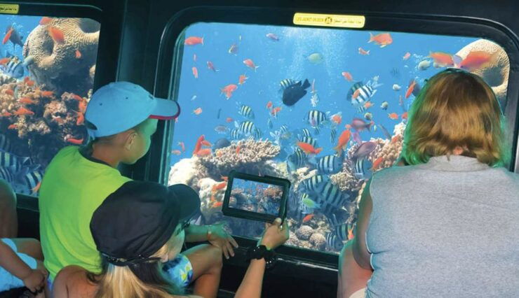 From Cairo: Red Sea Al-Ain Sokhna Private Full-Day Tour - Experience Highlights