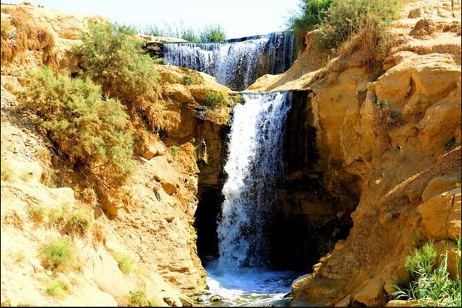 From Cairo to Whales Valley and Wadi El Rayan Waterfalls - Price and Booking Details