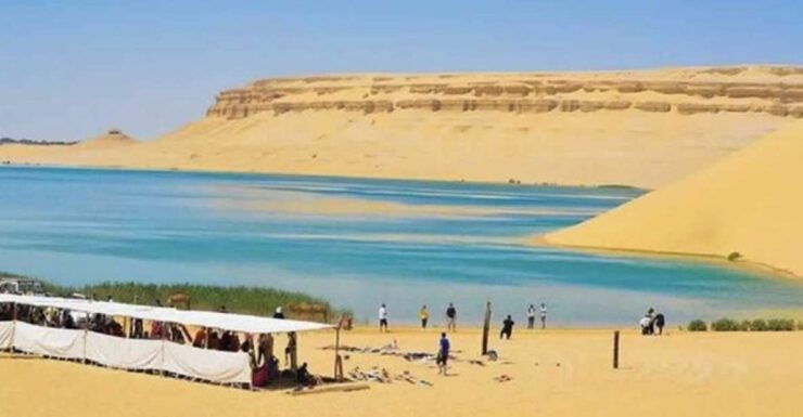 From Cairo: Whale Valley and Wadi El Rayan Waterfalls Tour - Tour Booking Details