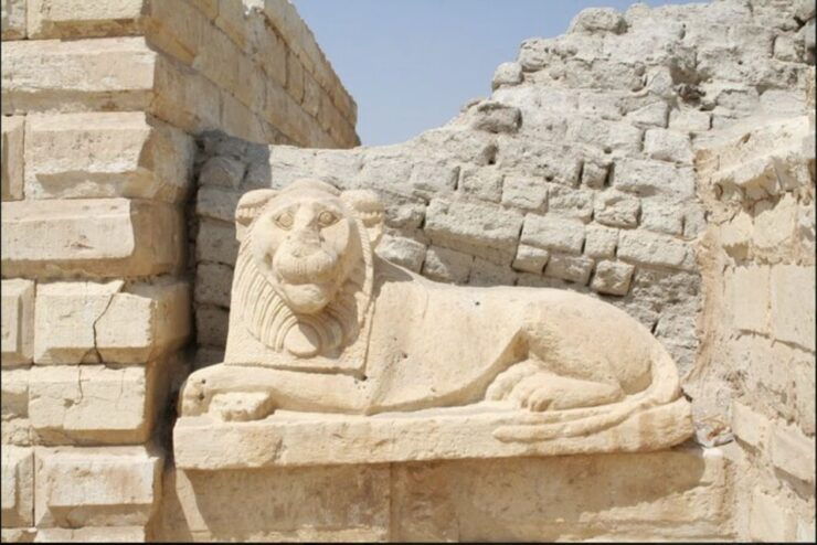 From Cairo: Whale Valley and Wadi El Rayan Waterfalls Tour - Tour Experience Highlights