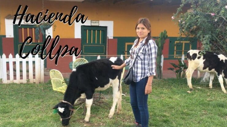 From Cajamarca: Historic Cajamarca 7D/6N - Experience Overview