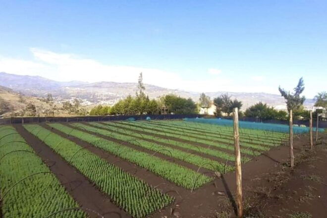 From Cajamarca: Llushcapampa Extreme - Experience