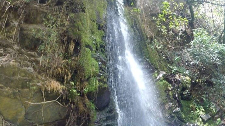 From Cajamarca: Yumagual - Booking Details