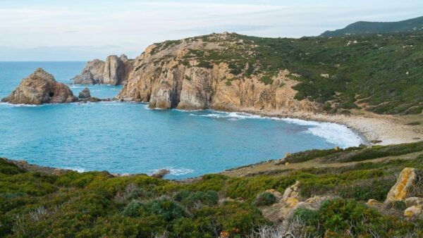 From Cala Domestica: Half-Day Excursion to Capo Pecora - Frequently Asked Questions