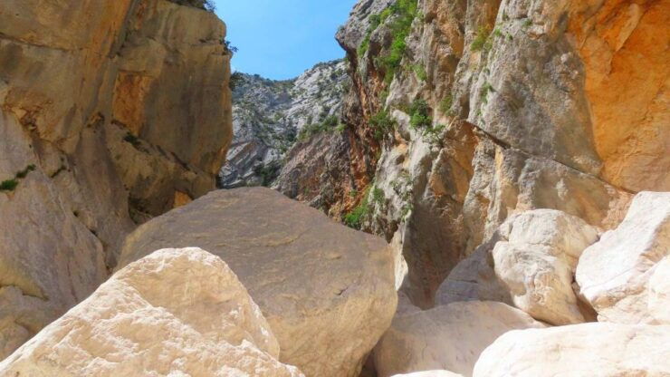 From Cala Gonone: Gorropu Canyon Trekking With Lunch - Activity Overview