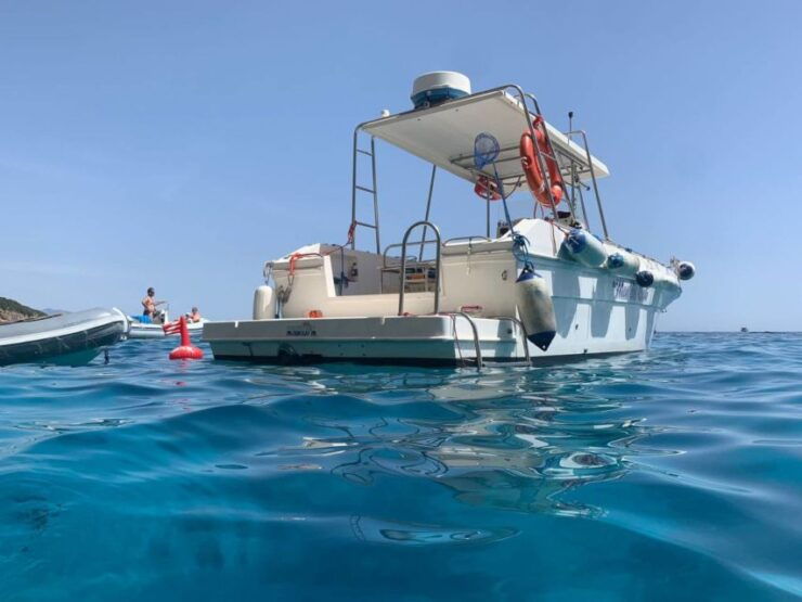 From Cala Gonone: Gulf of Orosei Speedboat Trip and Aperitif - Activity Details