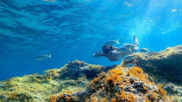 From Cala Gonone: Snorkeling in the Orosei Gulf - Tips for a Great Experience