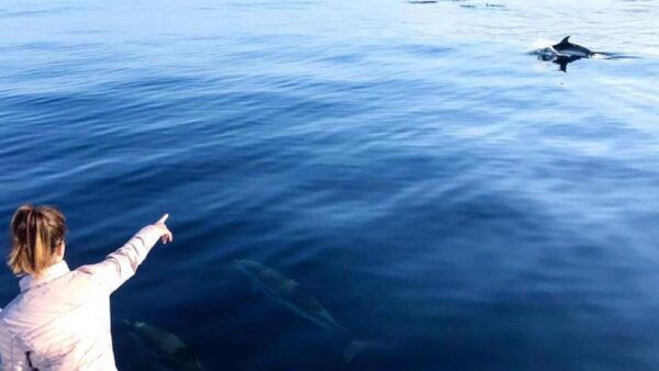 From Cala Gonone: Whale & Birdwatching in the Gulf of Orosei - Customer Reviews