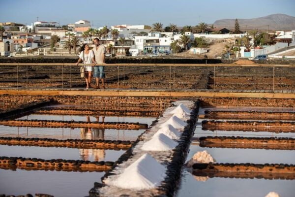 From Caleta De Fuste: Explore Rural Fuerteventura Tour - Small Group and Live Guide