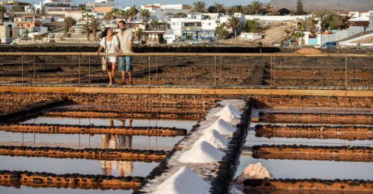 From Caleta De Fuste: Explore Rural Fuerteventura Tour - Tour Details