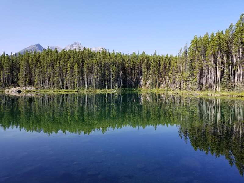 From Calgary/Banff: Columbia Icefield Glacier Full-Day Trip - The Sum Up: Who Will Love This Tour?  