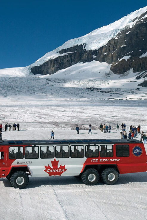 From Calgary/Banff: Columbia Icefield & Peyto Lake Day Trip - Itinerary Highlights