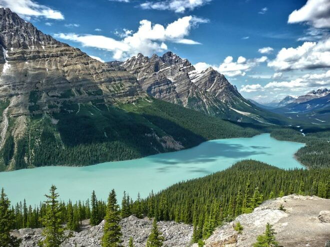 From Calgary/Banff: Columbia Icefield & Peyto Lake Day Trip - Pickup and Drop-off Options