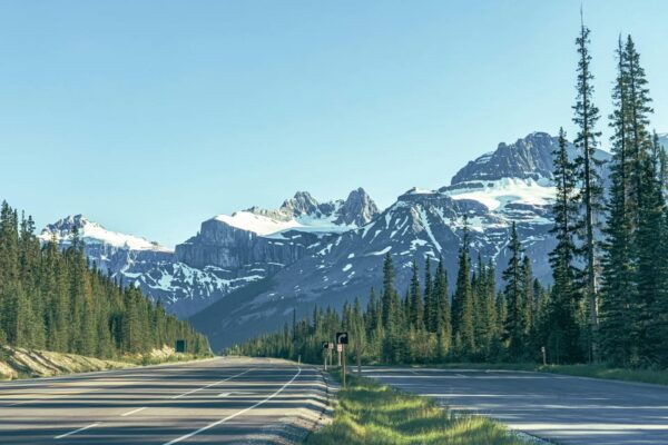 From Calgary/Banff: Columbia Icefield & Peyto Lake Day Trip - Seasonal Road and Trail Closures