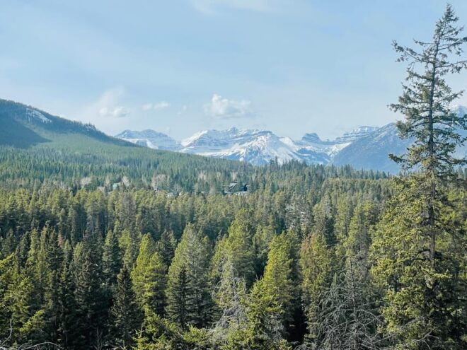 From Calgary: Banff, Moraine Lake and Lake Louise Tour - Experience and Attractions
