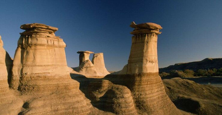 From Calgary: Drumheller and Badlands Tour - Activity Highlights