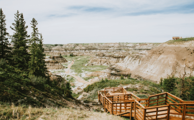 From Calgary: Drumheller, Horseshoe Canyon, Hoodoos Day Trip - Transportation