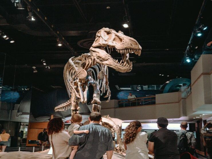 From Calgary: Guided Day Tour to Drumheller - Activity Highlights