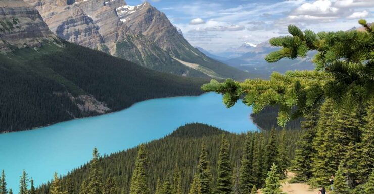 From Calgary: Icefields Parkway Route Tour W/Hotel Transfers - Booking Details for Icefields Parkway Tour