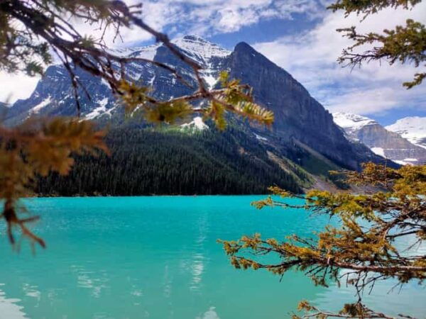 From Calgary: Lake Louise Moraine Lake Emerald Lake Day Tour - Free Cancellation and Pay Later