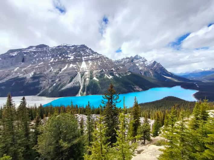 From Calgary: Lake Louise Moraine Lake Peyto Lake 1-Day Tour - Good To Know