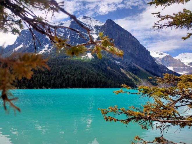 From Calgary: Lake Louise Moraine Lake Peyto Lake 1-Day Tour - Inclusions and Exclusions