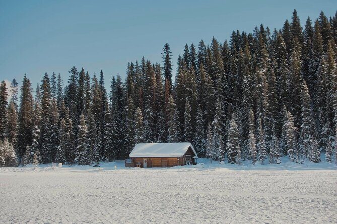 From Calgary: Moraine, Lake Louise & Johnston Canyon- Shared Tour - How the tour works: A detailed look