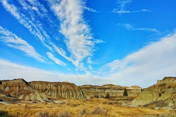 From Calgary: Private Tour to Royal Tyrrell Museum & Drumheller - Exploring the Calgary to Drumheller Private Tour: A Complete Guide