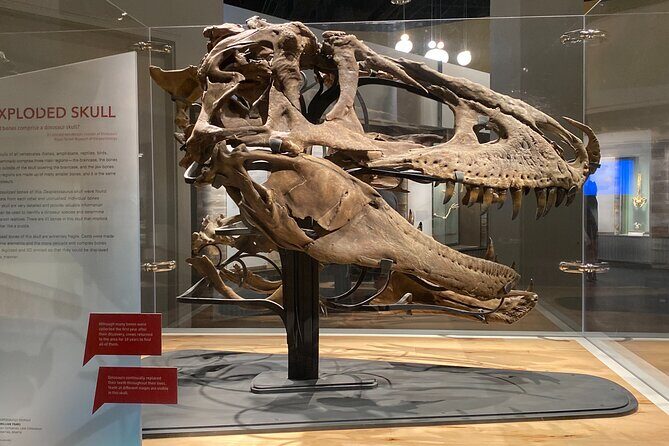From Calgary: Private Tour to Royal Tyrrell Museum & Drumheller - Good To Know