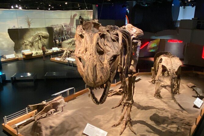 From Calgary: Private Tour to Royal Tyrrell Museum & Drumheller - In-Depth Look at the Itinerary