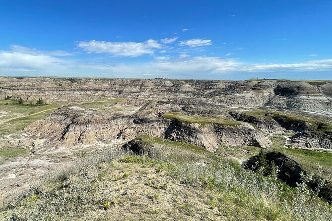 From Calgary: Private Tour to Royal Tyrrell Museum & Drumheller - The Sum Up