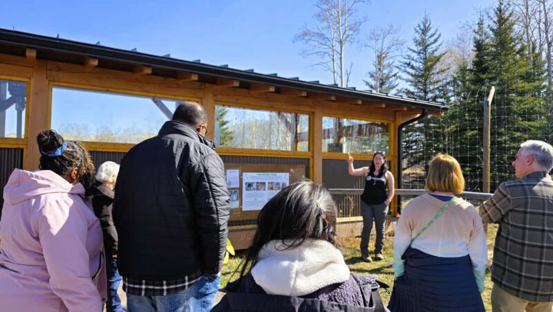 From Calgary to Banff: Day Trip with Wolfdog Sanctuary Visit - The Journey Begins: From Calgary to the Wolfdog Sanctuary