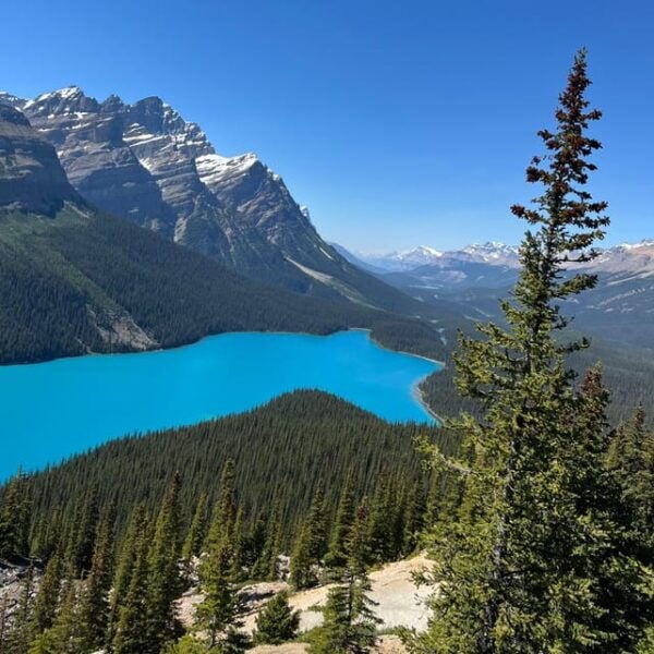 From CalgaryCanmore Columbia Icefield, Peyto Lake, Bow Lake - Pickup Locations and Timings
