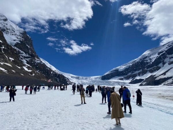 From CalgaryCanmore Columbia Icefield, Peyto Lake, Bow Lake - Guided Tour Durations