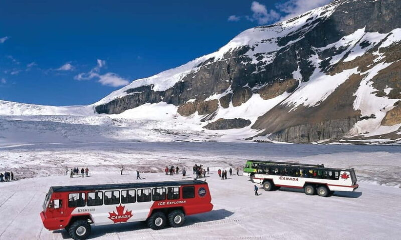From CalgaryColumbia Icefield, Peyto & Bow Lakes Day Trip - Discovering the Canadian Rockies on the Icefields Parkway