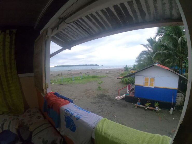 From Cali: Whale Watching Day Trip in Buenaventura - Activity Overview