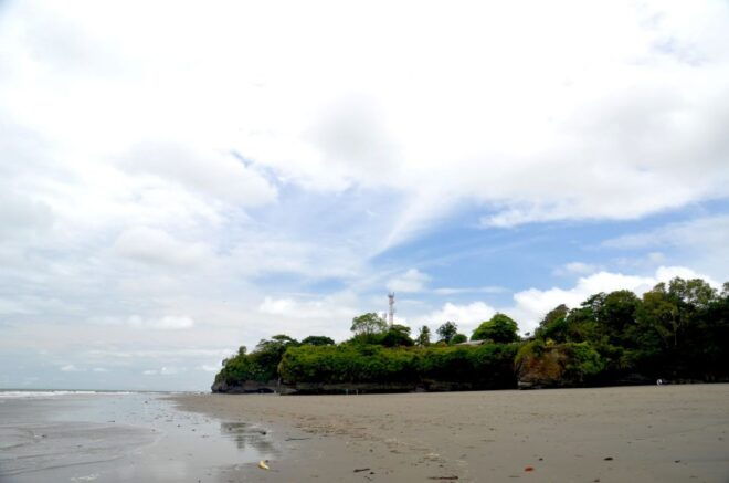 From Cali: Whale Watching Day Trip in Buenaventura - Customer Reviews and Recommendations