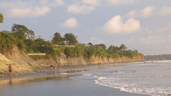 From Cali: Whale Watching Day Trip in Buenaventura - Location Details