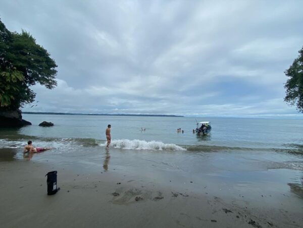 From Cali: Whale Watching Day Trip in Buenaventura - Directions and Specific Location