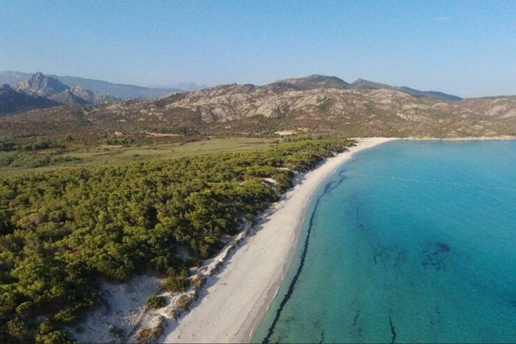 From Calvi: 4x4 Day Tour Mountain & Agriates' Saleccia Beach - Tour Duration and Language Options